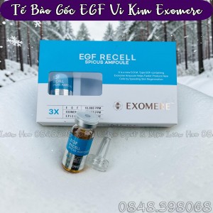 TẾ BÀO GỐC TĂNG TRƯỞNG EGF VI KIM EXOMERE
